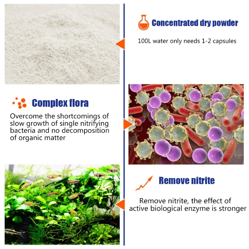 50Pcs/Bottle Aquarium Tank Nit - Aquarium Plant Root Tabs ulasan dan harga