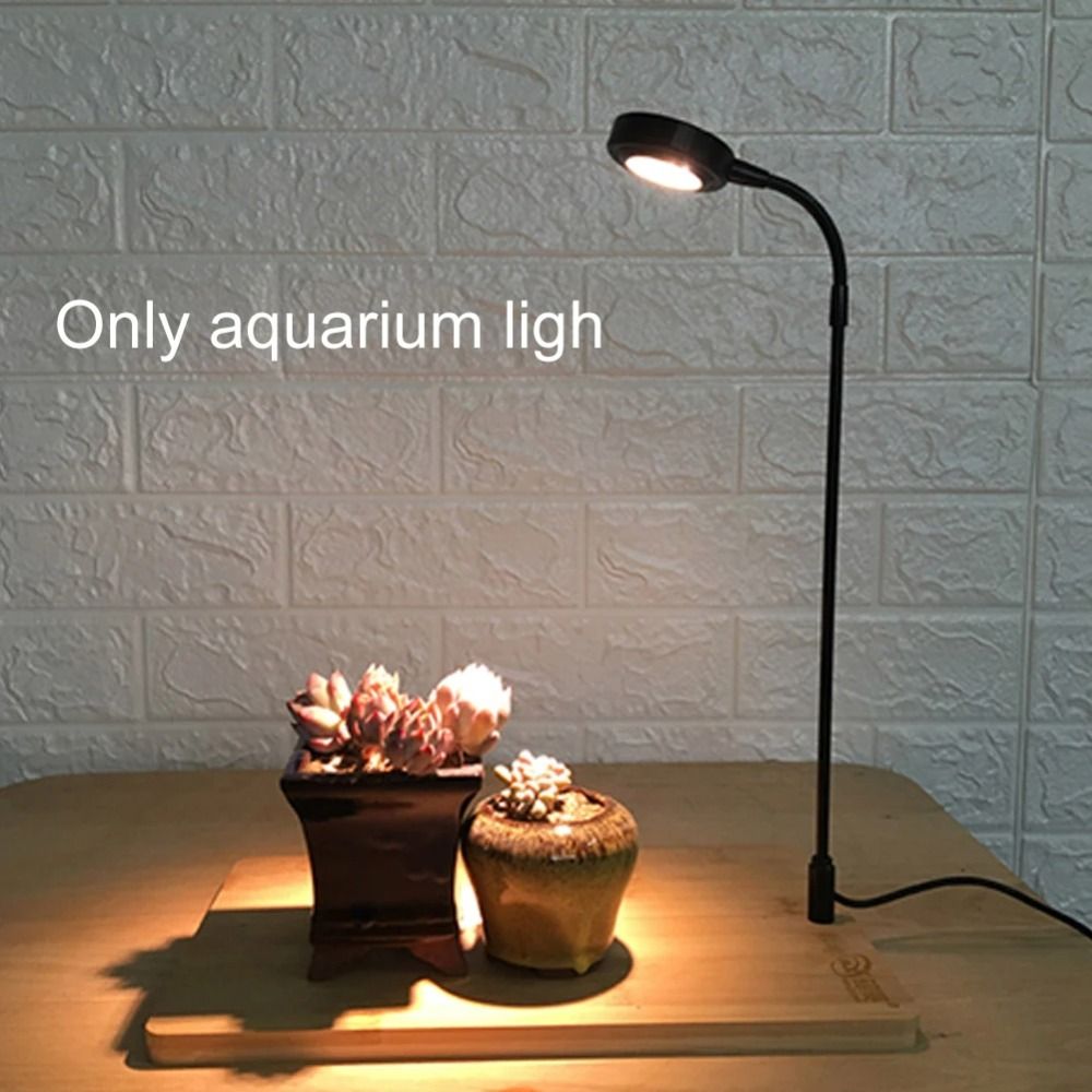 10W Aquarium Plant Fill Lamp w - Aquarium Plant On Wood ulasan dan harga