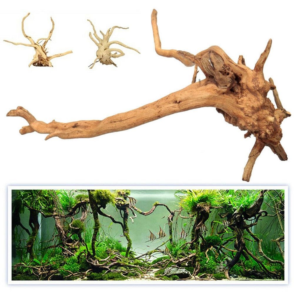 New Natural Wooden Fish Tank D - Aquarium Plant Root Tabs ulasan dan harga