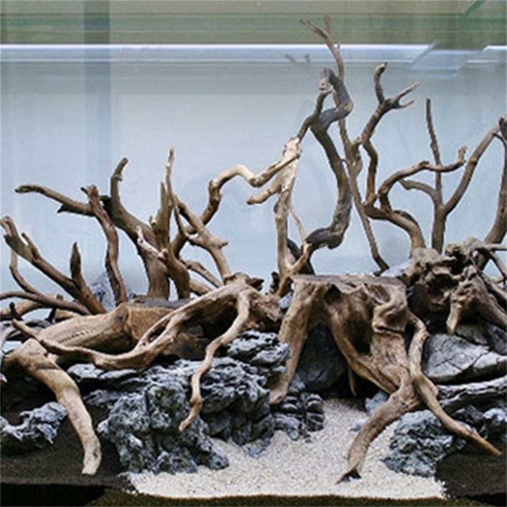 New Natural Wooden Fish Tank D - Aquarium Plant Root Tabs ulasan dan harga