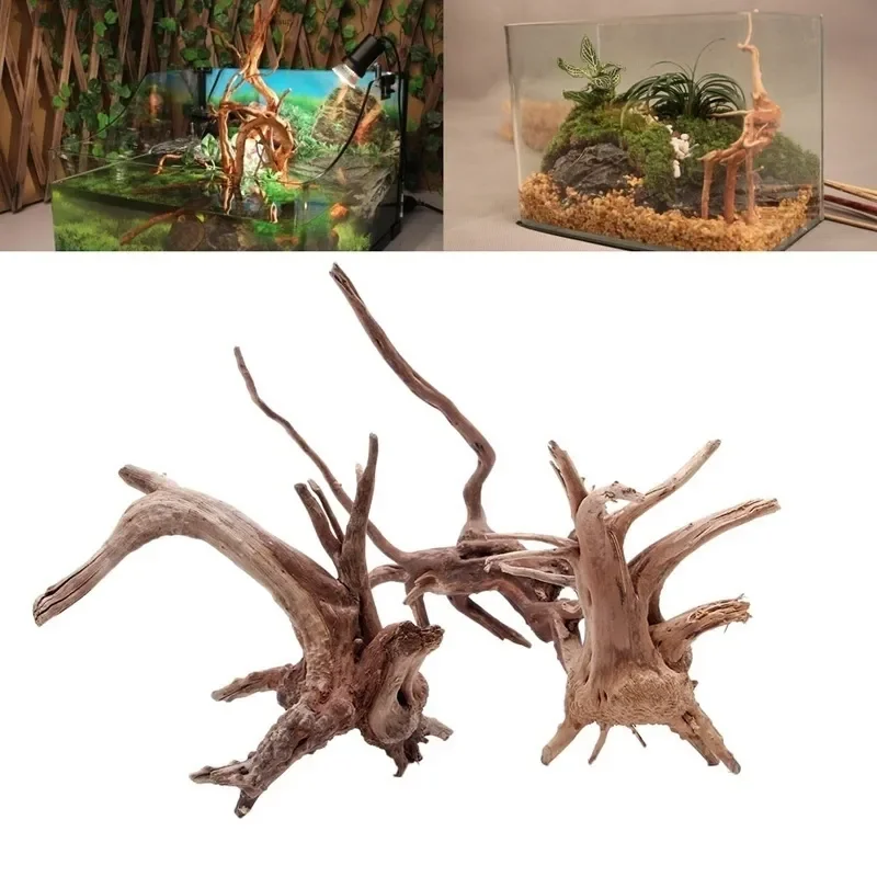 Natural Tree Trunk Driftwood A - Aquarium Plant Root Tabs ulasan dan harga