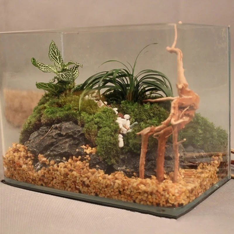 Natural Tree Trunk Driftwood A - Aquarium Plant Root Tabs ulasan dan harga