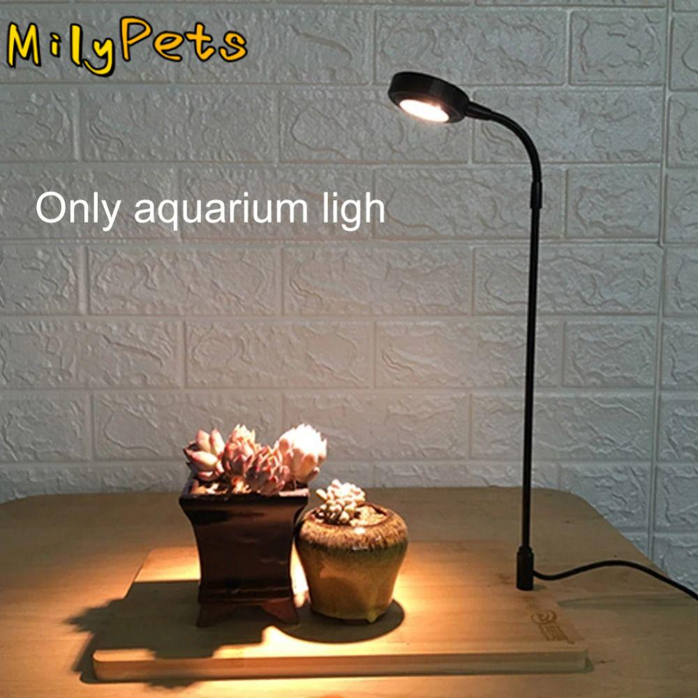 10W Aquarium Plant Fill Lamp w - Aquarium Plant On Wood ulasan dan harga