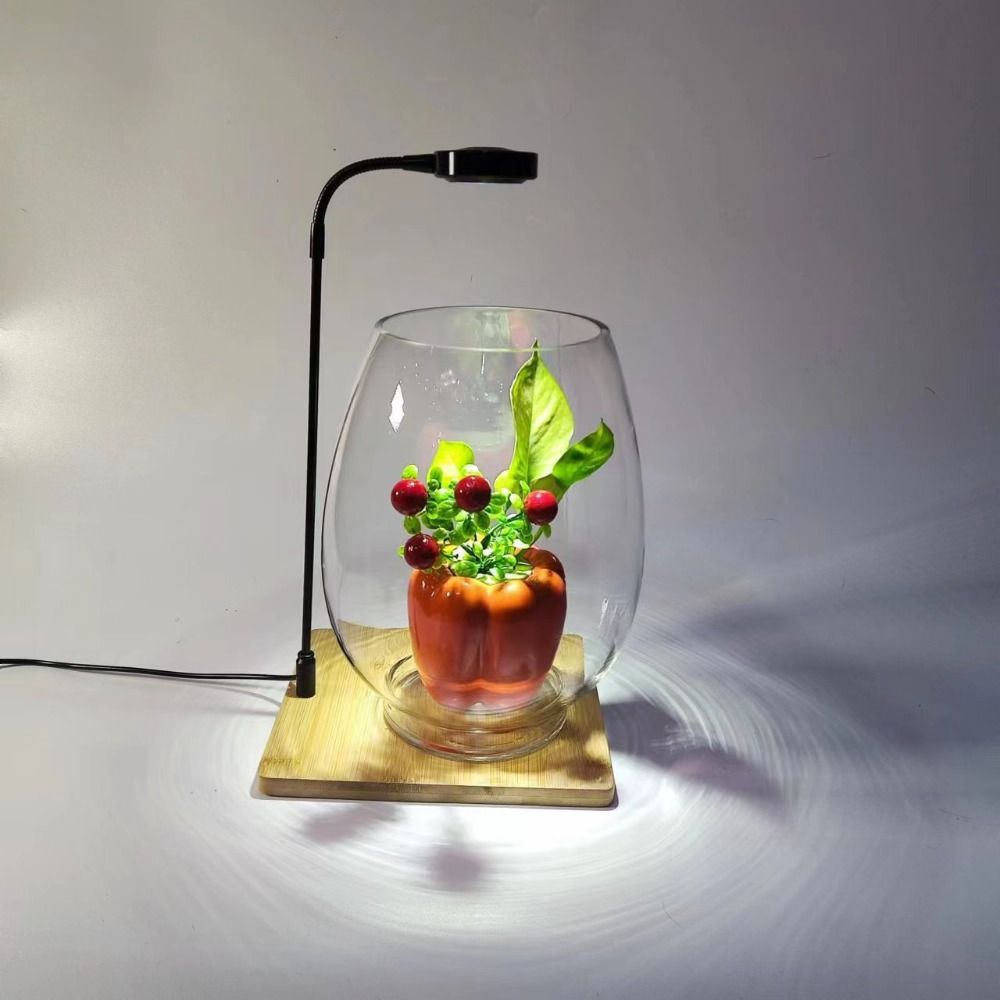 10W Aquarium Plant Fill Lamp w - Aquarium Plant On Wood ulasan dan harga