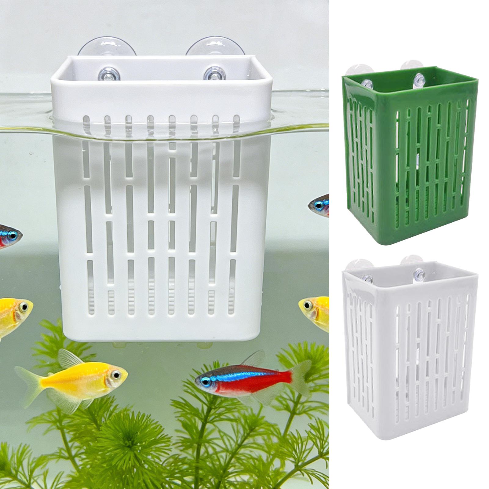 5pcs Aquarium Plant Holder Fis - Planted Aquarium Aquascape ulasan dan harga