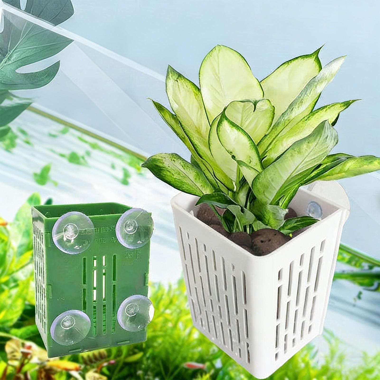 5pcs Aquarium Plant Holder Fis - Planted Aquarium Aquascape ulasan dan harga