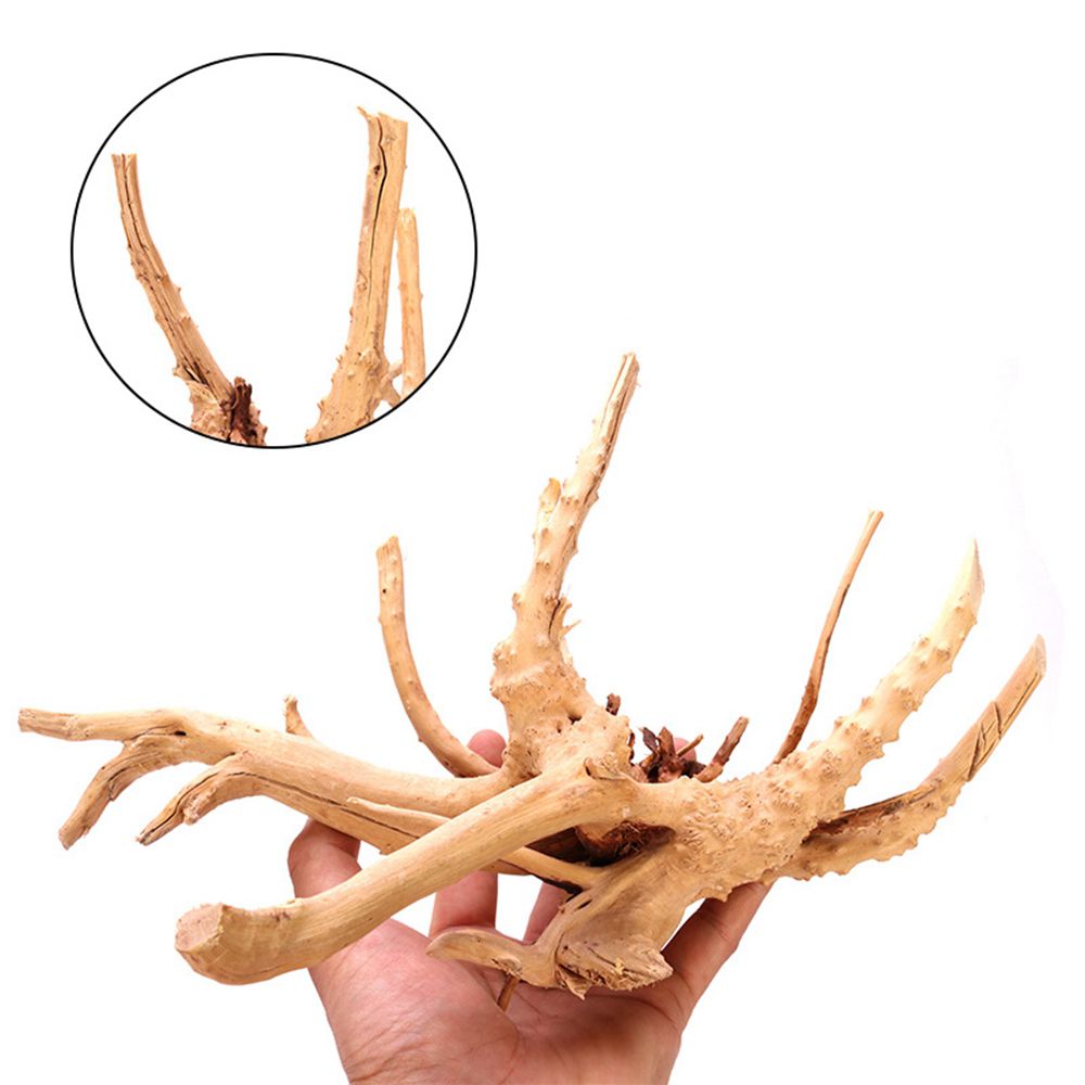 1 Pcs Wood Natural Trunk Drift - Aquarium Plant Root Tabs ulasan dan harga