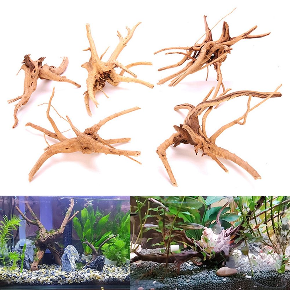 1 Pcs Wood Natural Trunk Drift - Aquarium Plant Root Tabs ulasan dan harga
