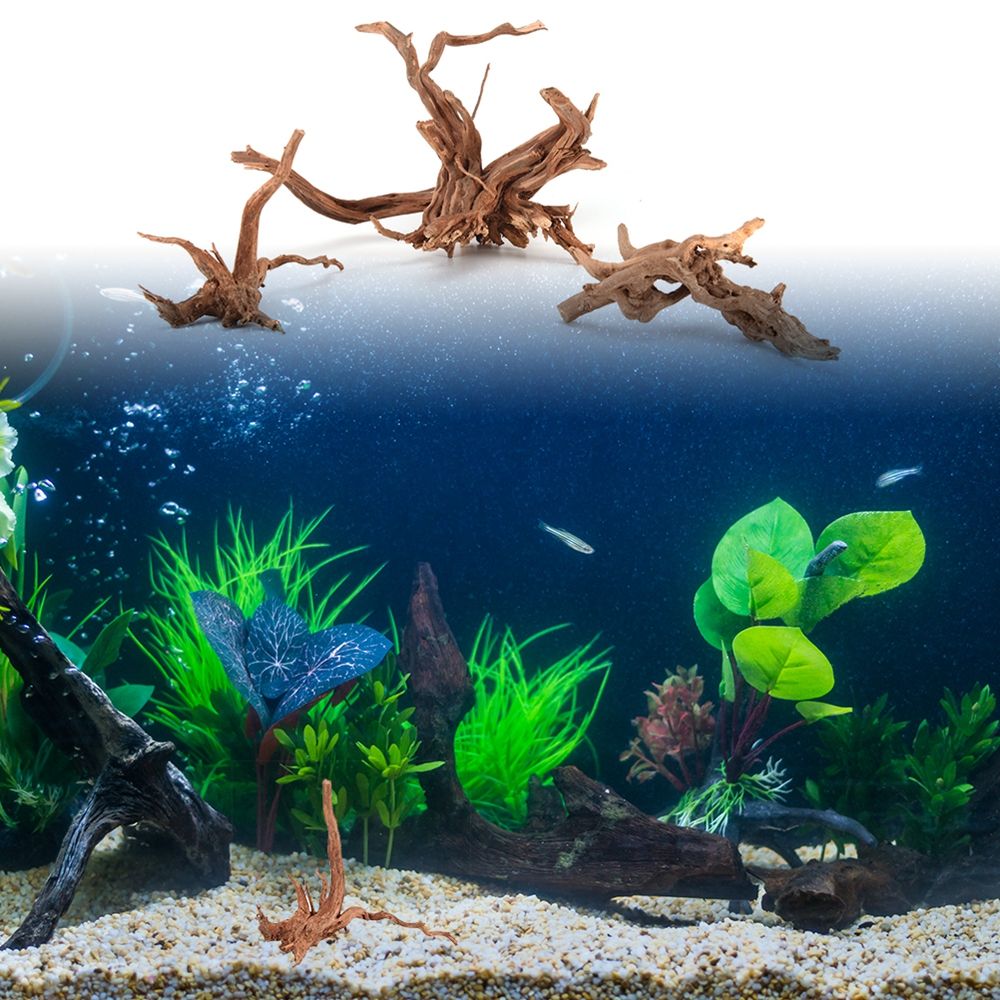 1 Pcs Wood Natural Trunk Drift - Aquarium Plant Root Tabs ulasan dan harga