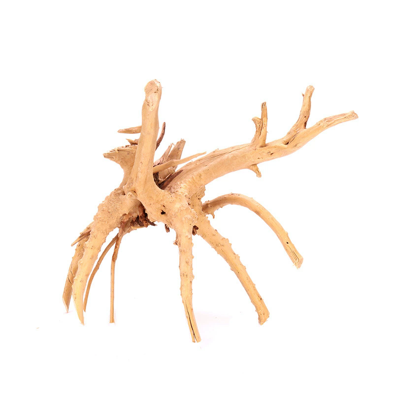 4PCS Natural Wooden Fish Tank  - Aquarium Plant Root Tabs ulasan dan harga