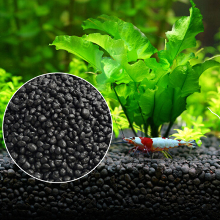 Aquarium Plant Seeds Soil Fish - Aquarium Plant Root Tabs ulasan dan harga