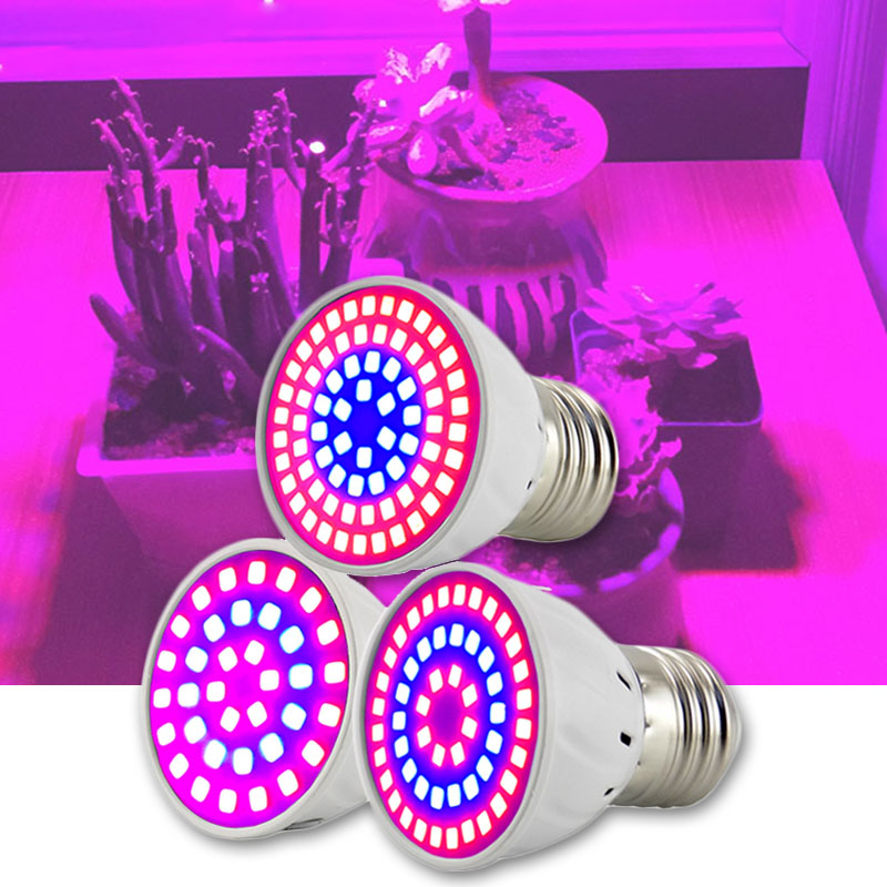 2/3 Head LED Plant Grow Light  - Aquarium Plant Root Tabs ulasan dan harga