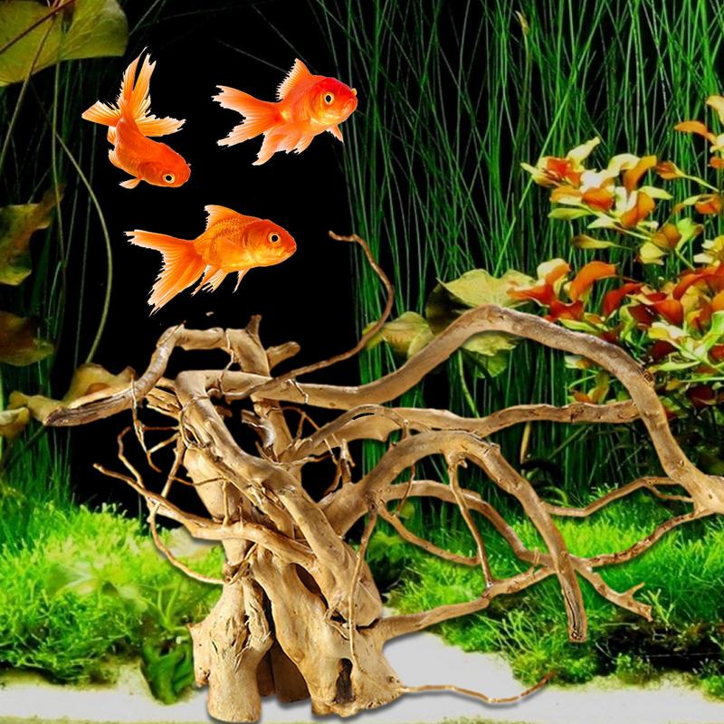 Aquarium Driftwood Decoration  - Aquarium Plant Root Tabs ulasan dan harga