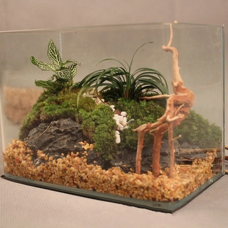 Natural Tree Trunk Driftwood A - Aquarium Plant Root Tabs ulasan dan harga
